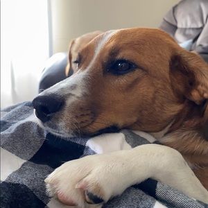 Meet your Posher, Josh